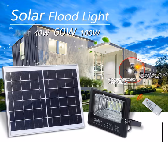 20W 30W 50W 100W con control remoto Lámpara solar